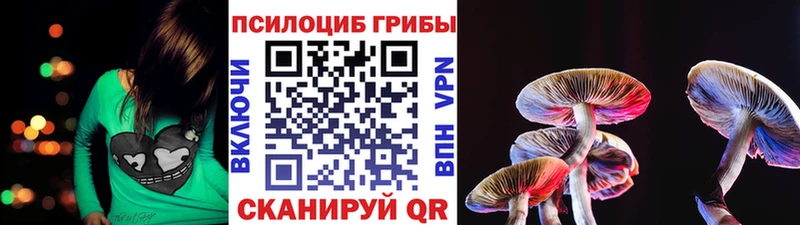 Псилоцибиновые грибы Psilocybine cubensis  Усолье 